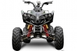 ! OFERTE SPECIALE DE VARA ! Atv Nitro Motors Akp Warrior